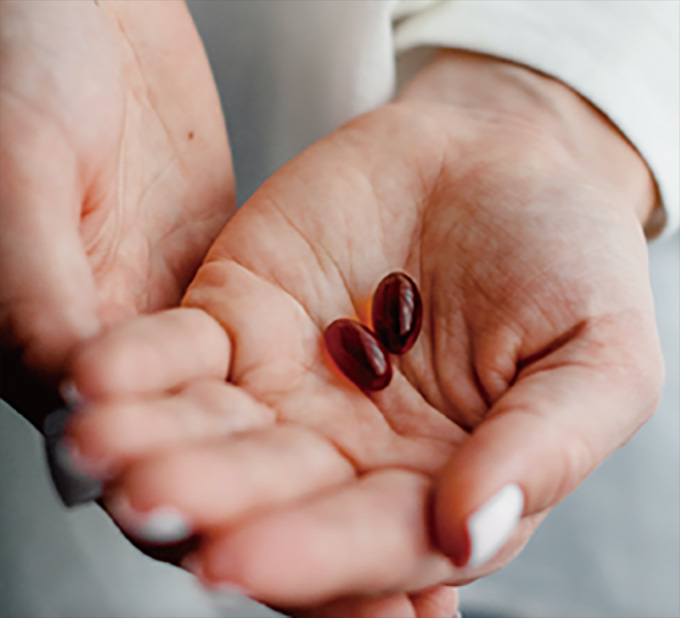 营养、功能、健康食品|中食展