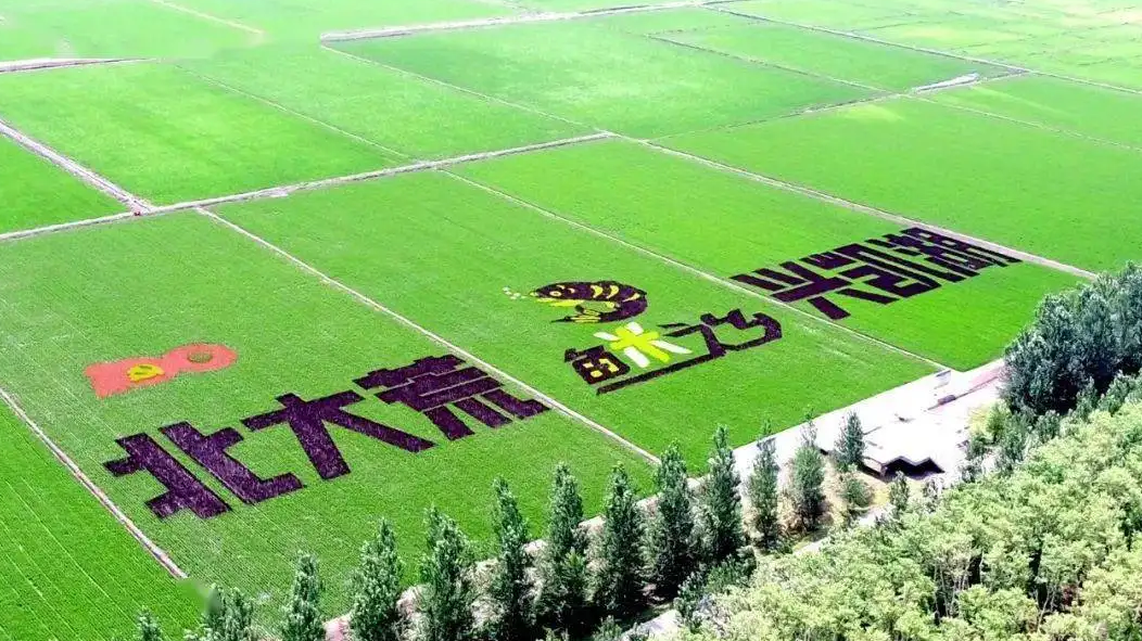 北大荒集团：旗下完达山乳业  正在冲击国内IPO