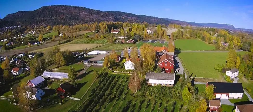 中食展优选 | 苹果酿制的琼浆玉液，源自烟台的果酒新星！