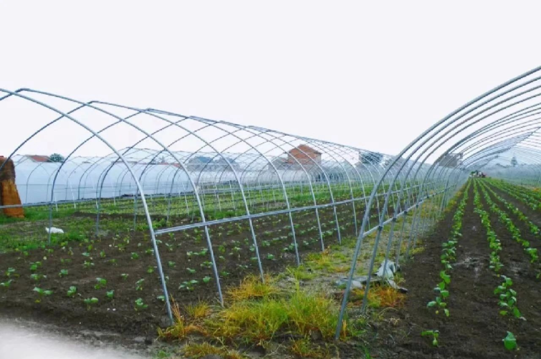 中食资讯|2023，火锅行业10大趋势