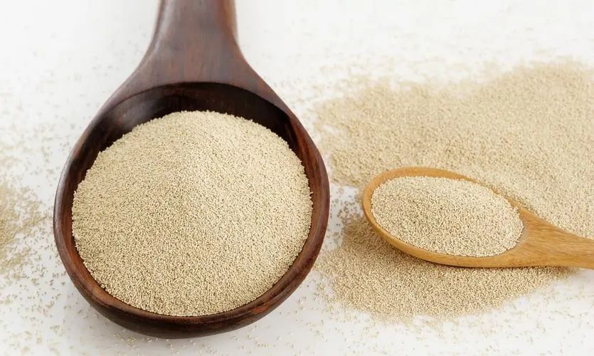 行业新闻 | 世界头部酵母生产商发布新品 带动烘焙新趋势