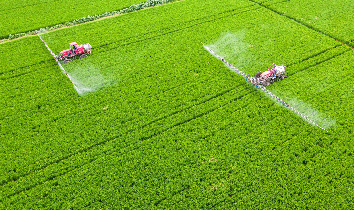 中食资讯 | 唤醒“沉睡”的耕地后备资源