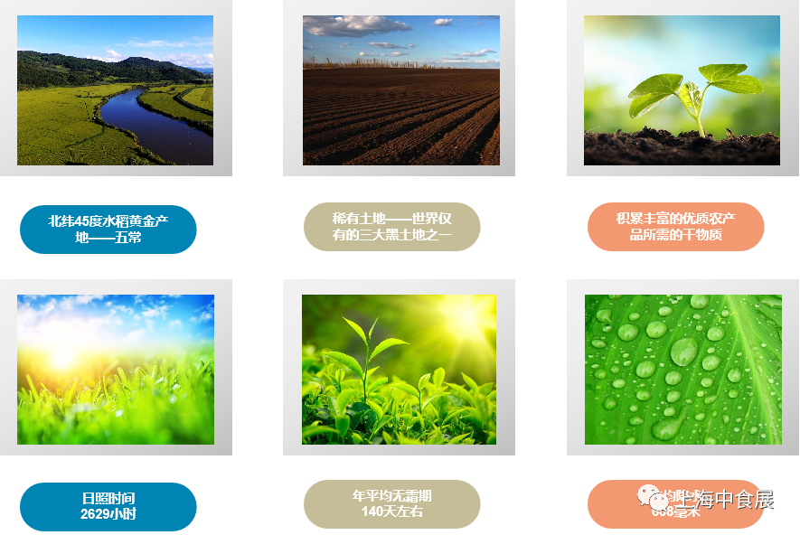 【展商推荐】和粮农业，和您一起分享种出来的幸福！