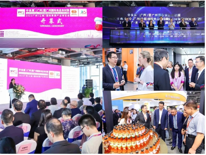 全球食品行业最具规模和影响力的年度盛会——2024中食展®广州强势回归